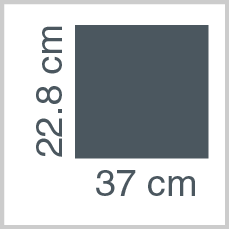 Sheet dimensions: 22.8 x 37 cm